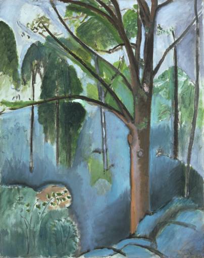 Botanical master Matisse