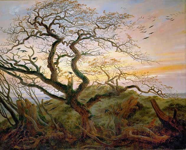 Tree of crows