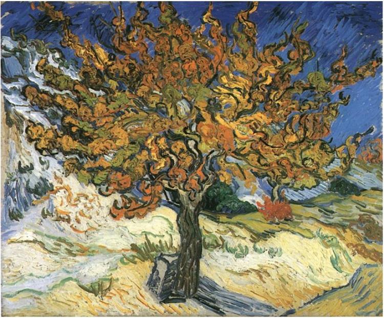 Mulberry Tree Van Gogh