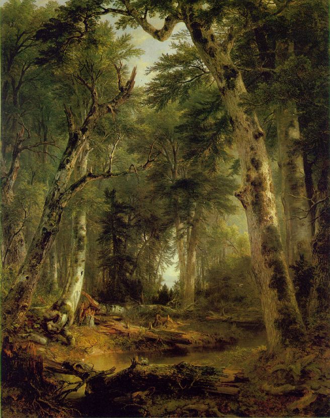 Durand in the woods