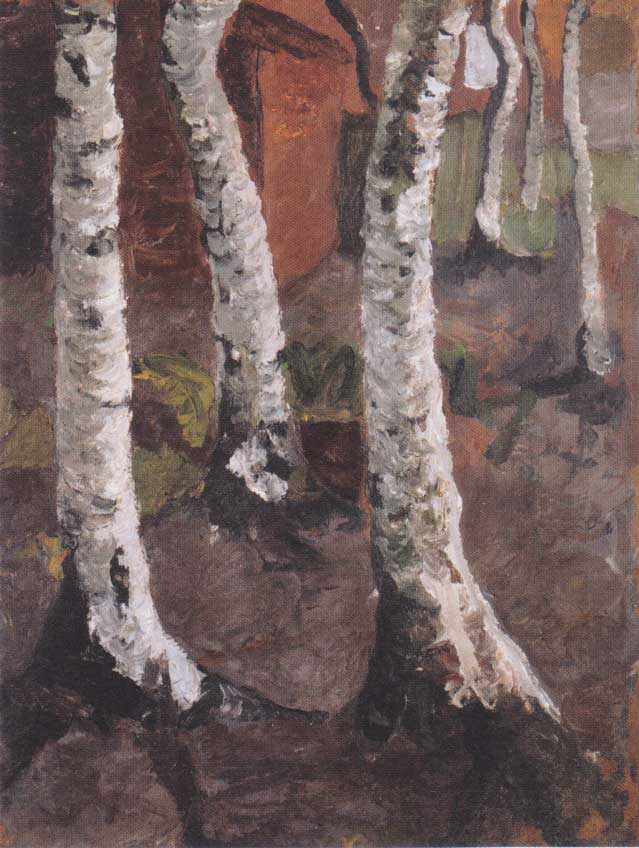 Birch trunks