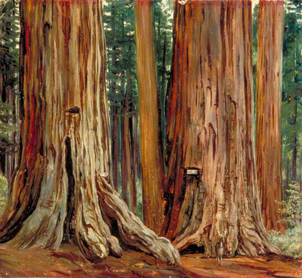 marianne north
