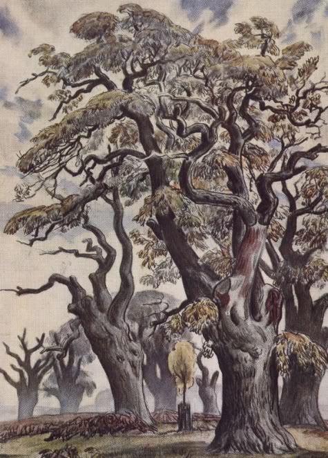 Richmond park tree painting