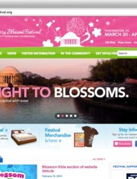 Cherry blossom festivals & websites 2014