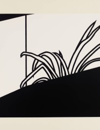 Patrick Caulfield’s liking for plants