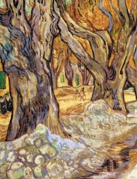 Van Gogh Large Plane tree