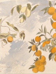 Edward Lear’s Eclogue and the symbolism of Orange and Lemon Trees