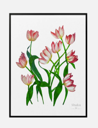 Tulips Fantasy by Shakera Tayub