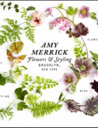 Botanically themed websites – Amy Merrick