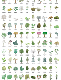 Free botanical icon sets