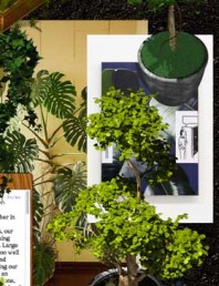 vegetal passions exhibition