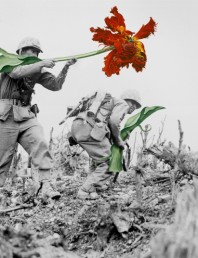 Soldiers and flower art